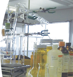 油化装置研究開発