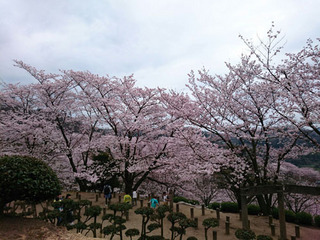 種松山公園（倉敷市） (2).jpg